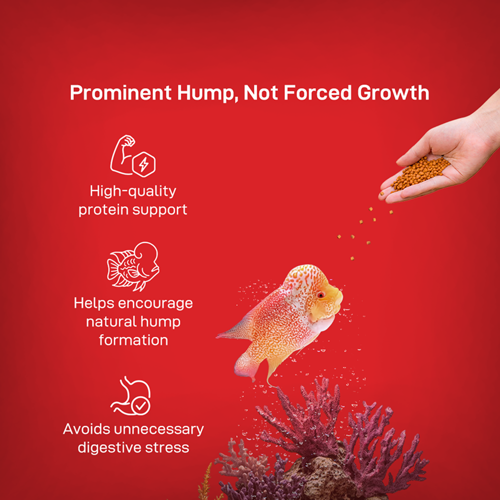 Drools Finsters Flower Horn Monster Hump Fish Food image 6