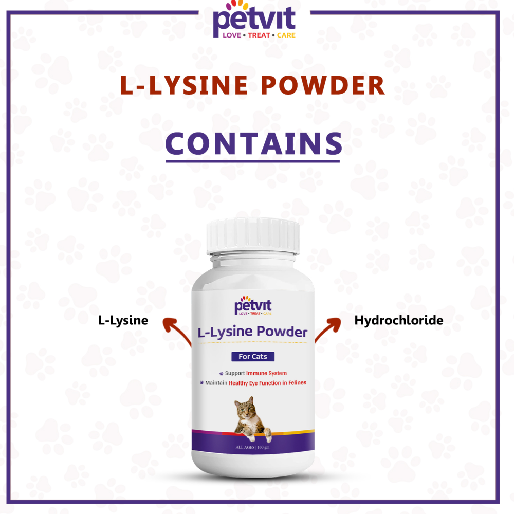 Petvit L Lysine Powder for Cats image 5