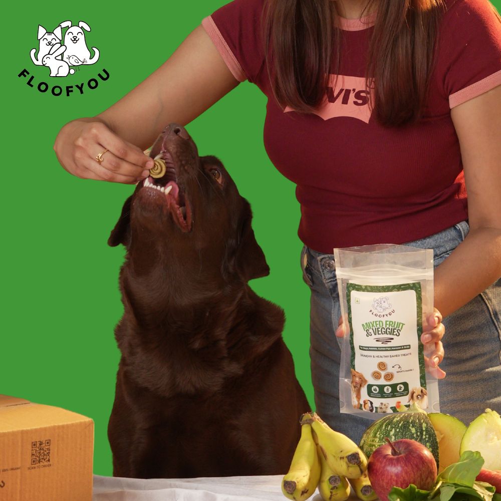 FloofYou Oven Baked Mixed Fruit and Veggies Dog Treats image 8
