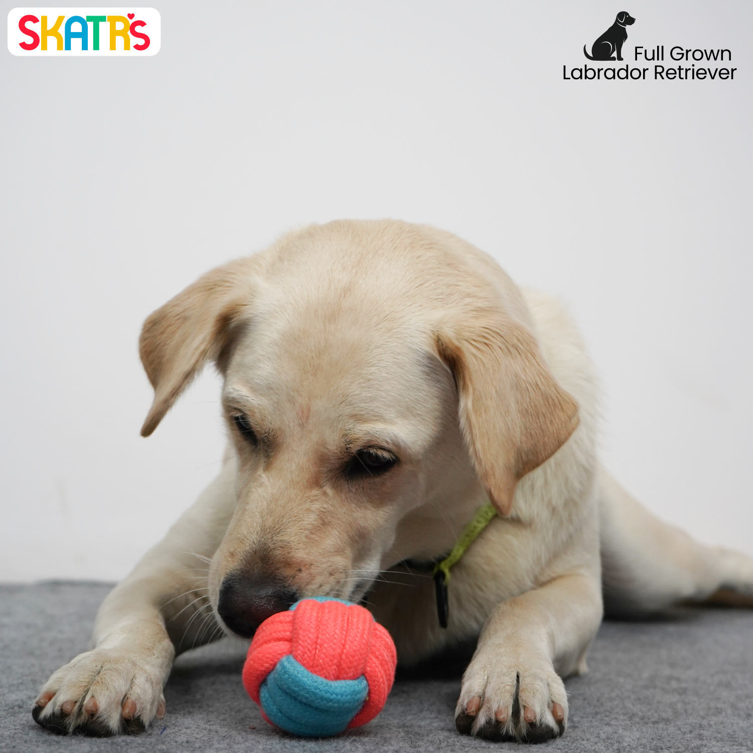 Skatrs Ball Shaped Rope Chew Toy for Dogs and Cats (Pink/Sky Blue) image 4