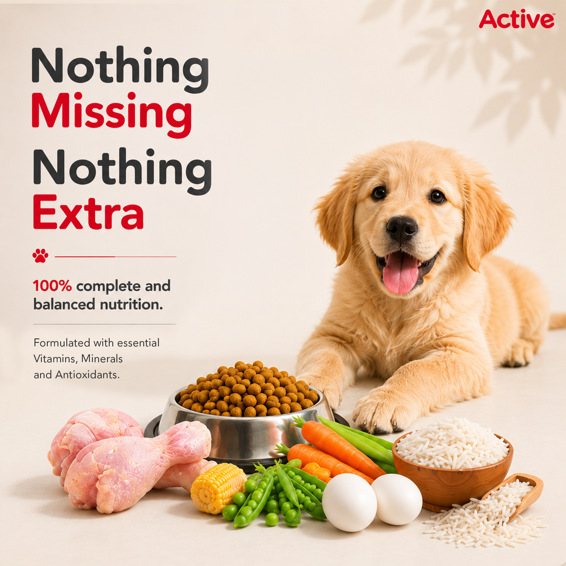 Active Chicken and Vegetables Puppy Dog Dry Food (Buy 1 Get 1) image 6
