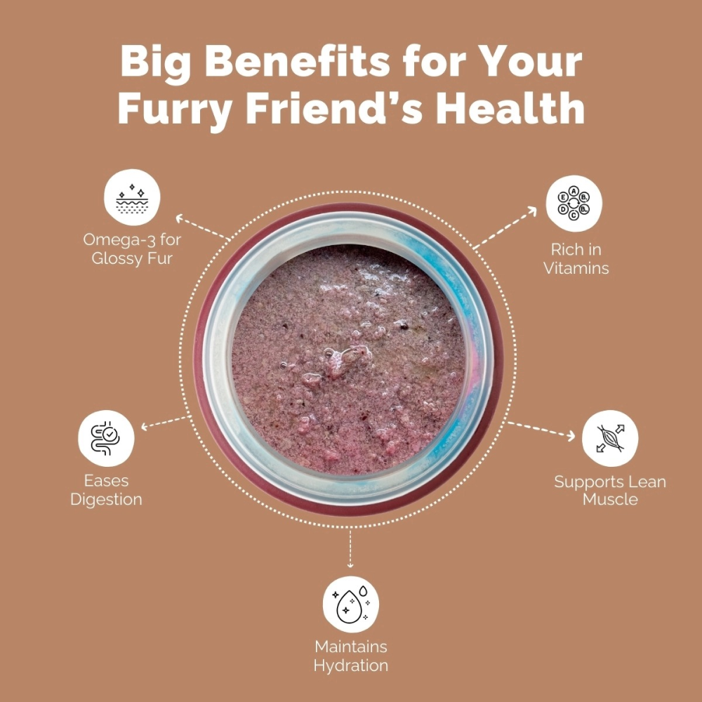 PetStrong Premium Wet Food Variety Pack Combo for Dogs image 7
