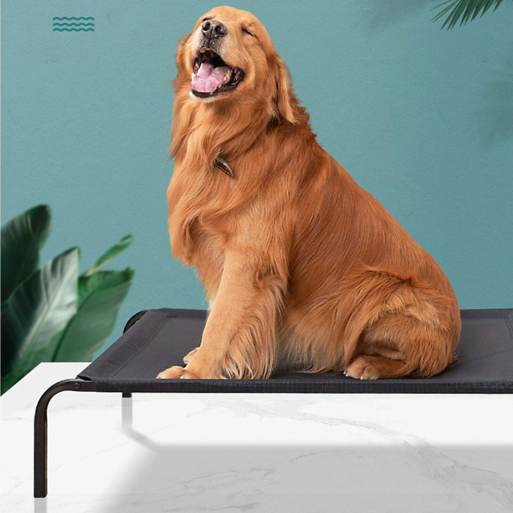 Fluffy's Pawsome Waterproof elevated Sides Camping Bed for Dogs (Black) image 5