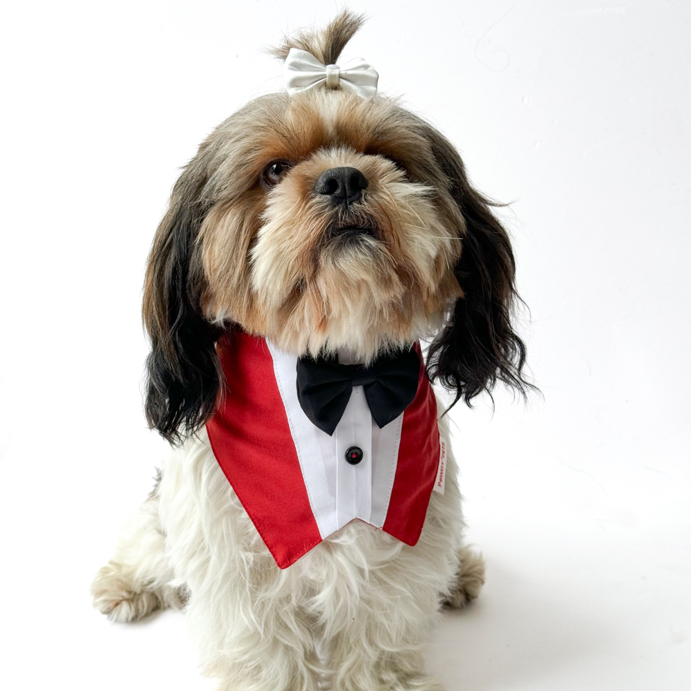 Pawgypets Formal Tux Bandana for Dogs and Cats (Red) image 3