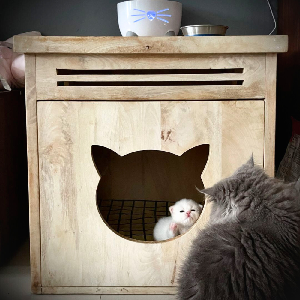 FurryLiving Meraki Cabinet with Cushion for Small Dogs and Cats (Oak/Brown Cushion) image 5