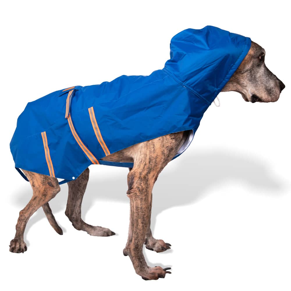 PetWale Reflective Raincoat for Dogs (Royal Blue) image 9
