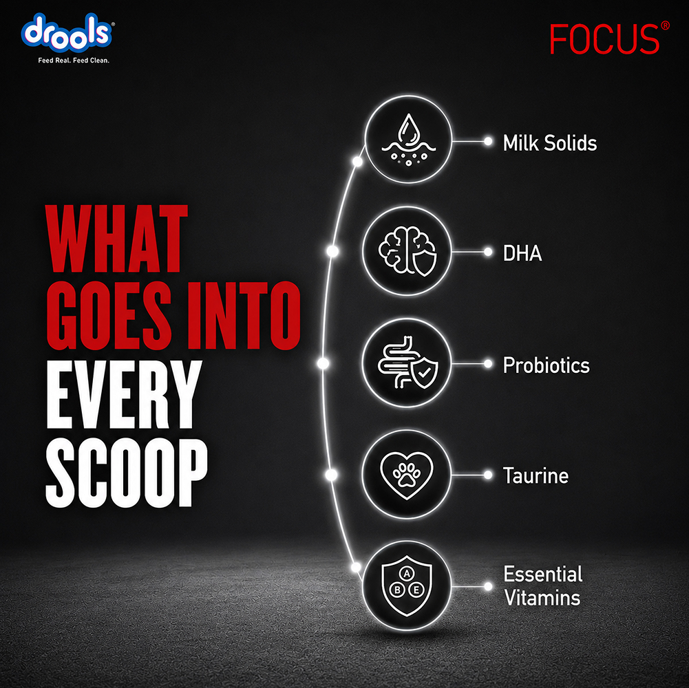 Drools Focus Pup Booster Puppy Weaning Diet for All Breeds (300g) image 6