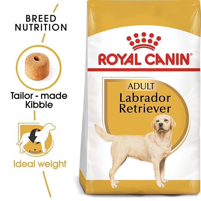 Royal Canin Labrador Retriever Adult Dog Dry Food image 2