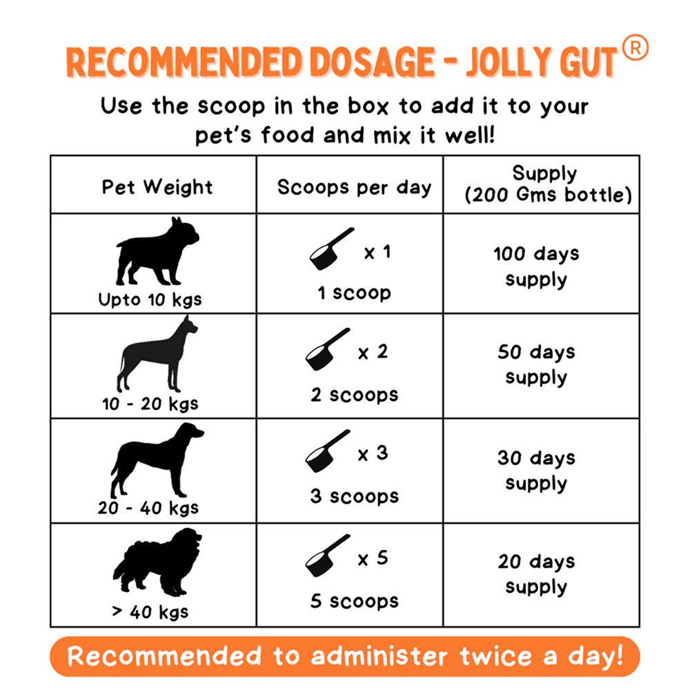 Unleash Wellness Jolly Gut Pre and Pro Biotic Supplement for Dogs and Cats image 4