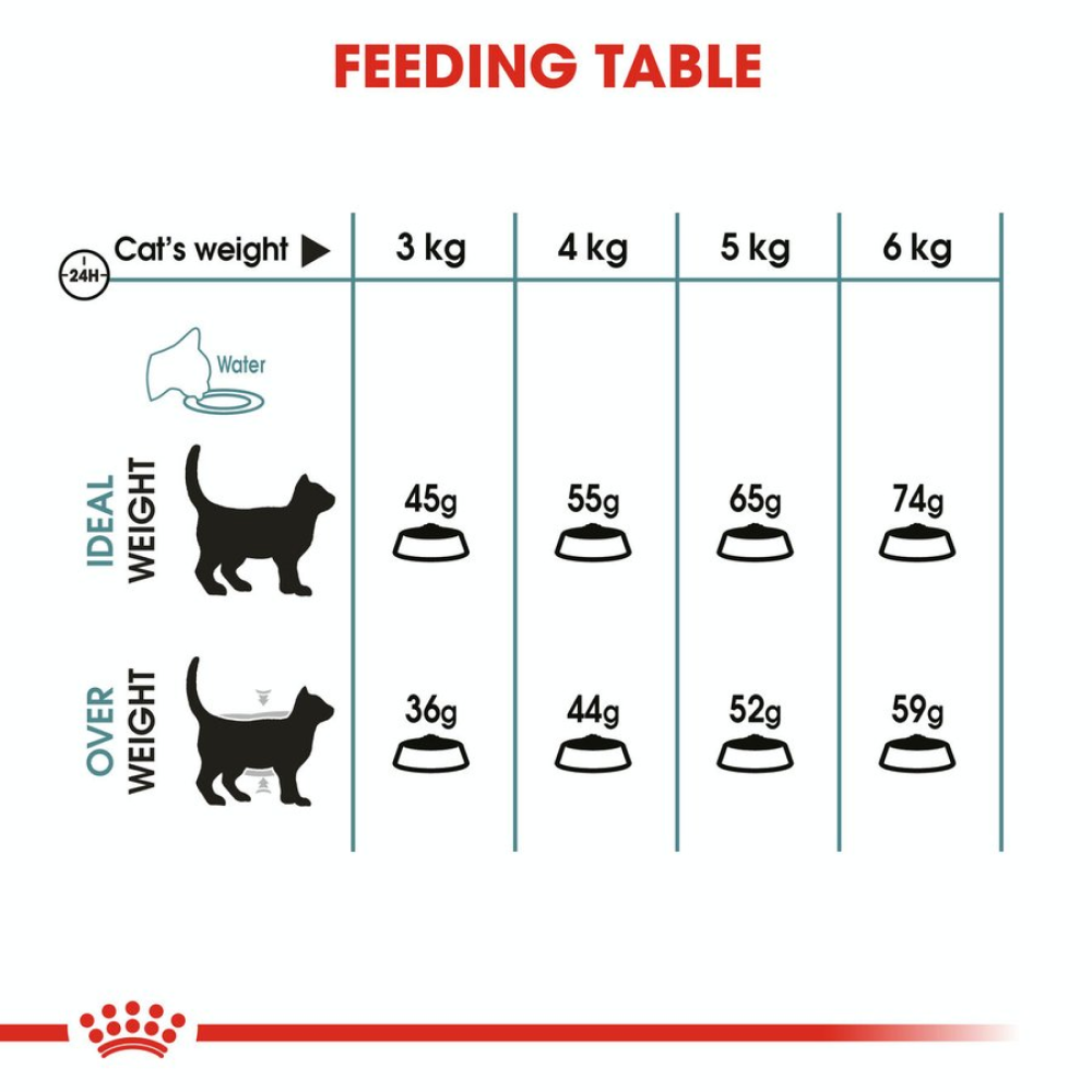 Royal Canin Hairball Care Food for Adult Cat Dry Food image 7
