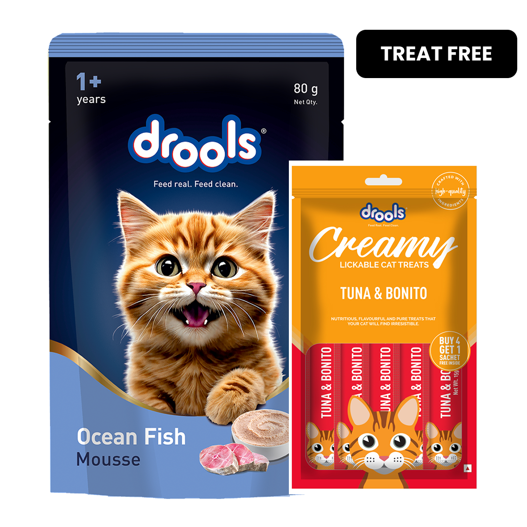 Drools Ocean Fish Mousse Adult Cat Wet Food image 2