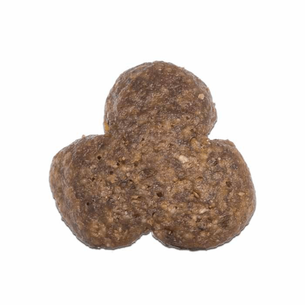 Arden Grange Chicken & Rice Adult Dog Dry Food image 4