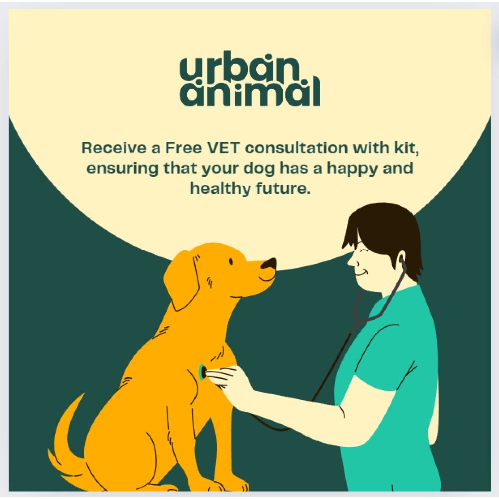 Urban Animal DNA Test Kit for Genetic Disease Mapping for Dogs image 5