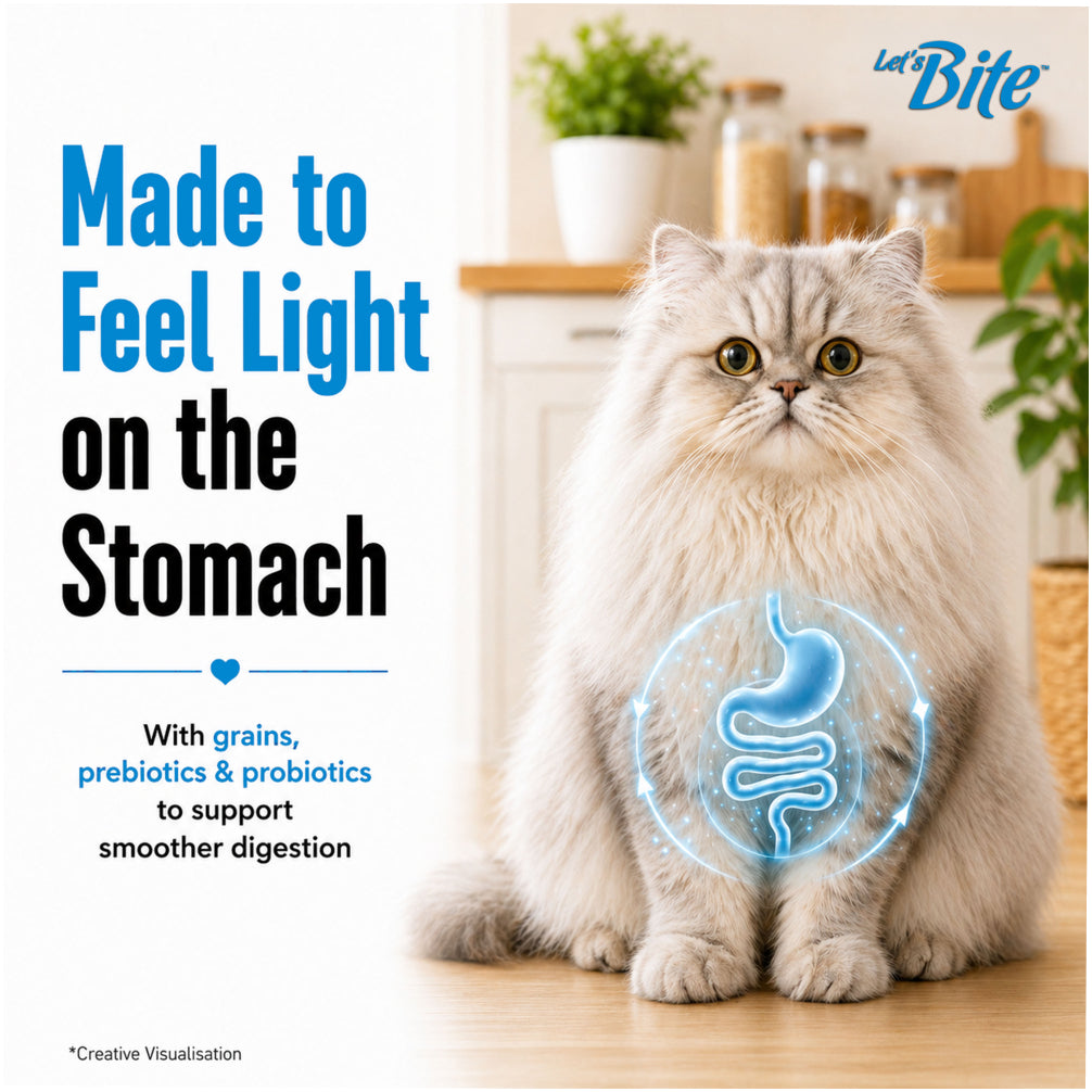 Let's Bite Active Persian Ocean Fish Cat Dry Food image 7