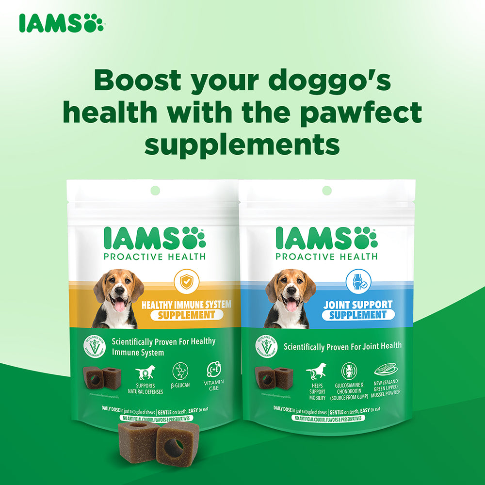 IAMS Proactive Health Dog Supplement For Joint Support image 8