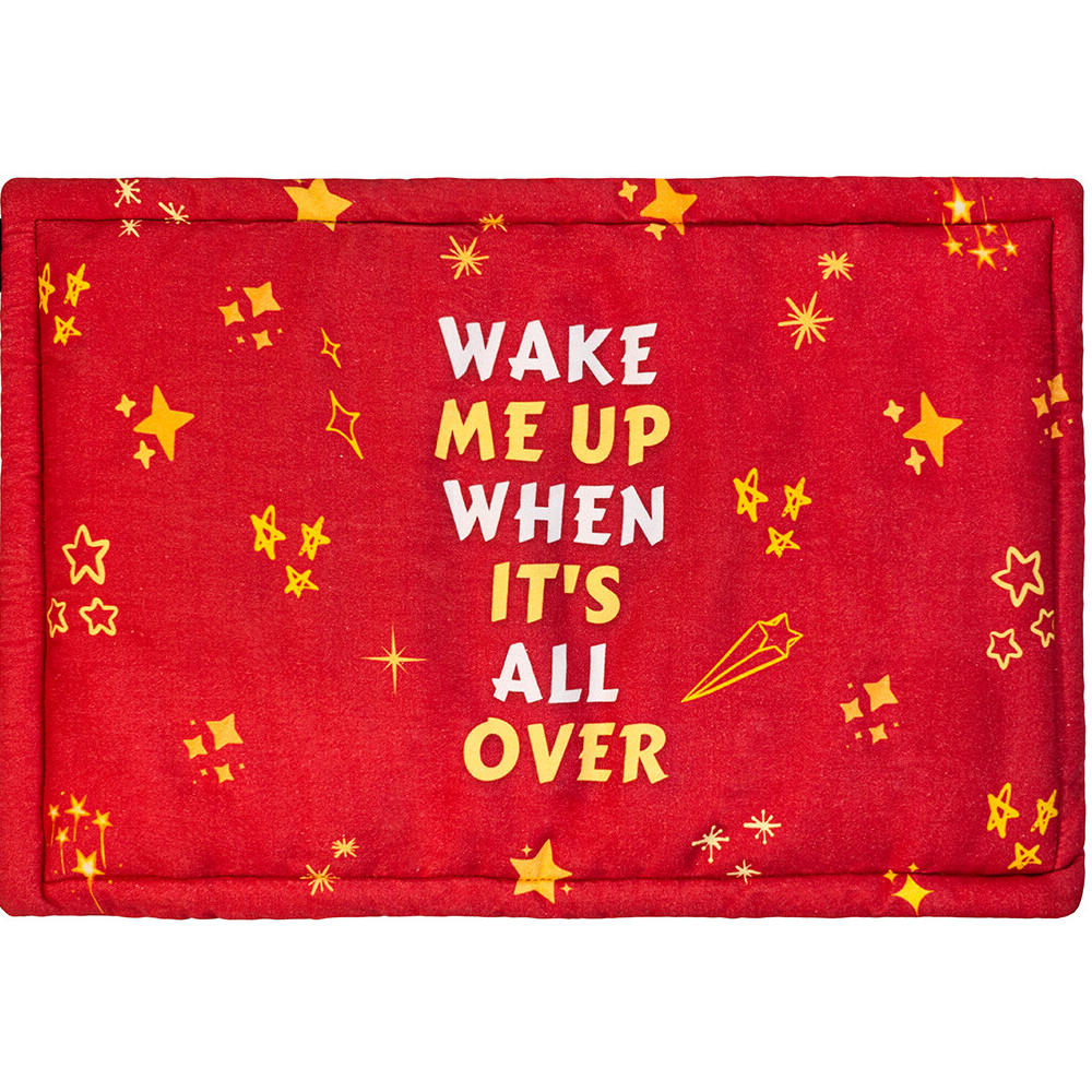 FurBuddies Wake Me Up When It’s All Over Mat for Dogs and Cats (S) Special Offer