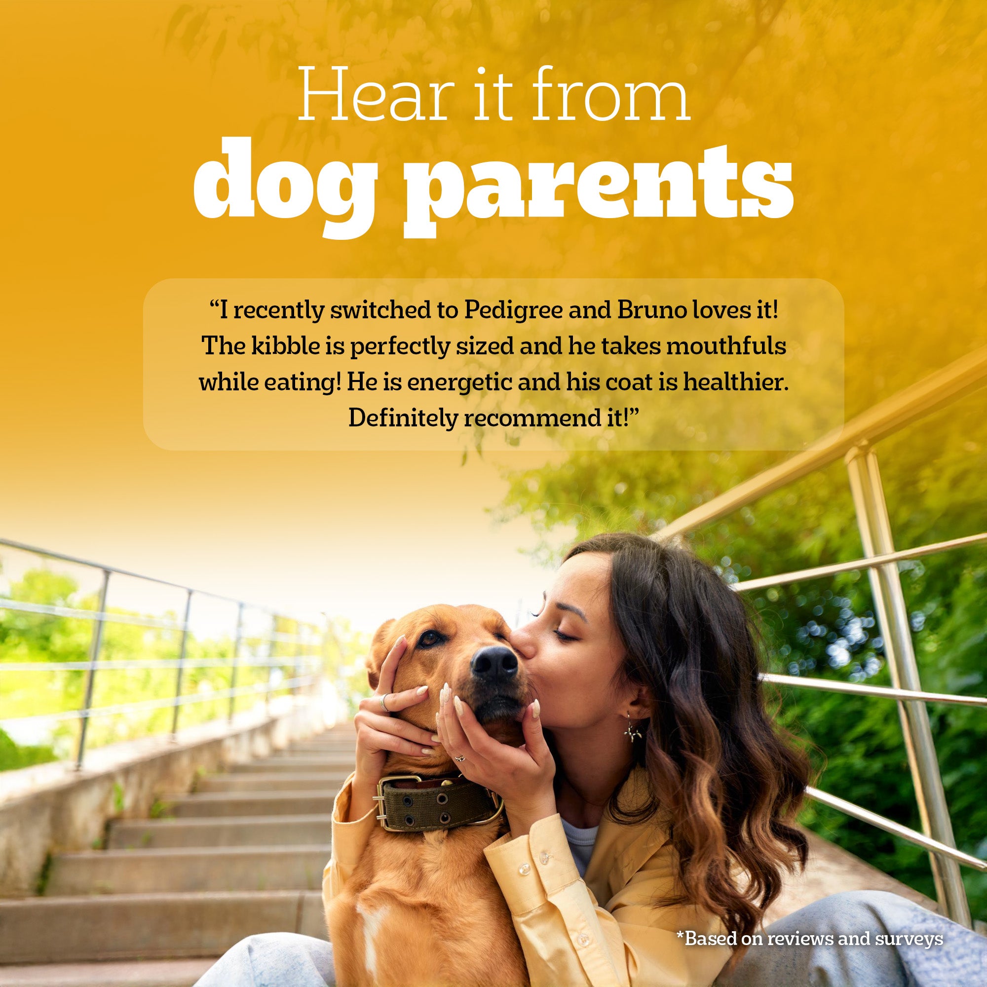 Pedigree Chicken and Vegetables Adult Dry Dog Food image 8