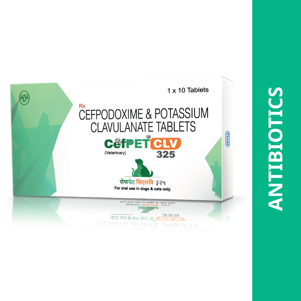 Intas Cefpet CLV 325mg Tablets (Cefpodoxime & Potassium Clavulanate) for Dogs and Cats