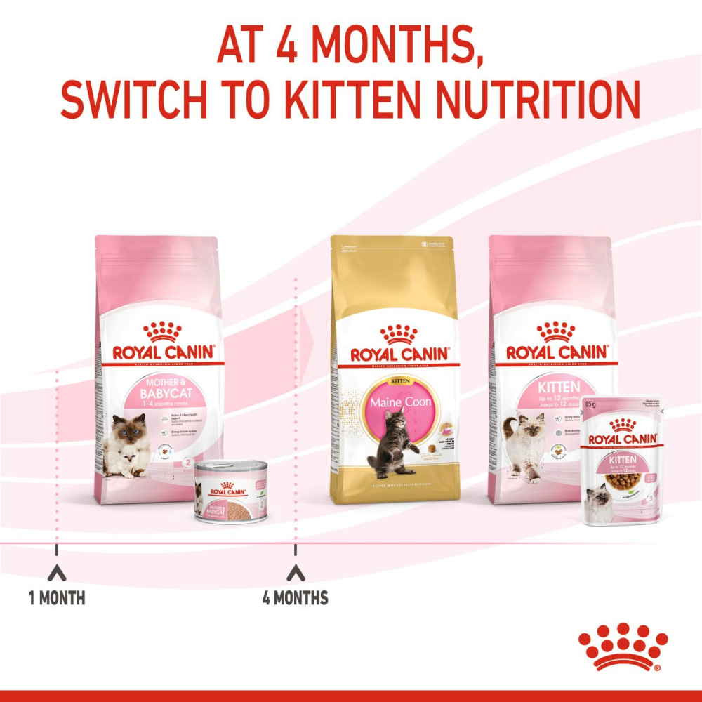 Royal Canin Mother & Babycat Cat Dry Food image 7