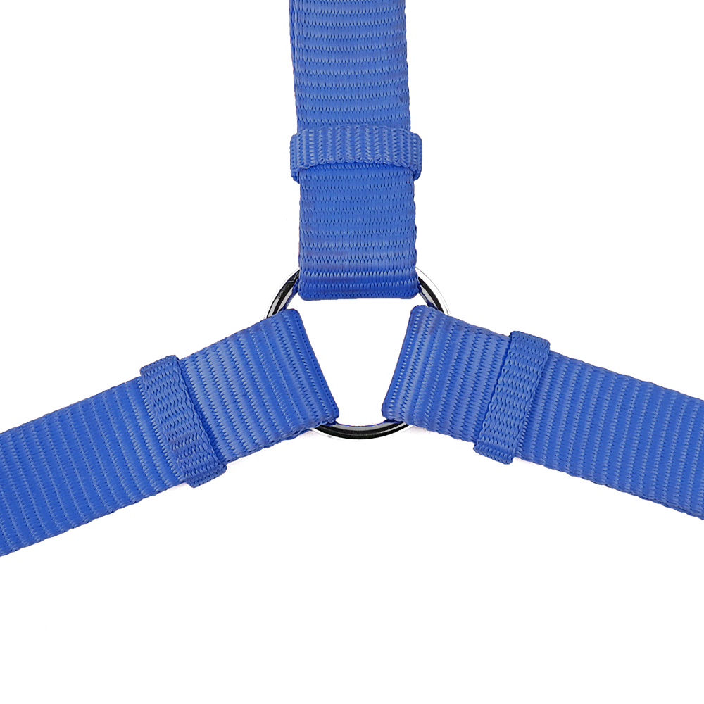 Trixie Premium H Harness for Dogs (Royal Blue) image 4