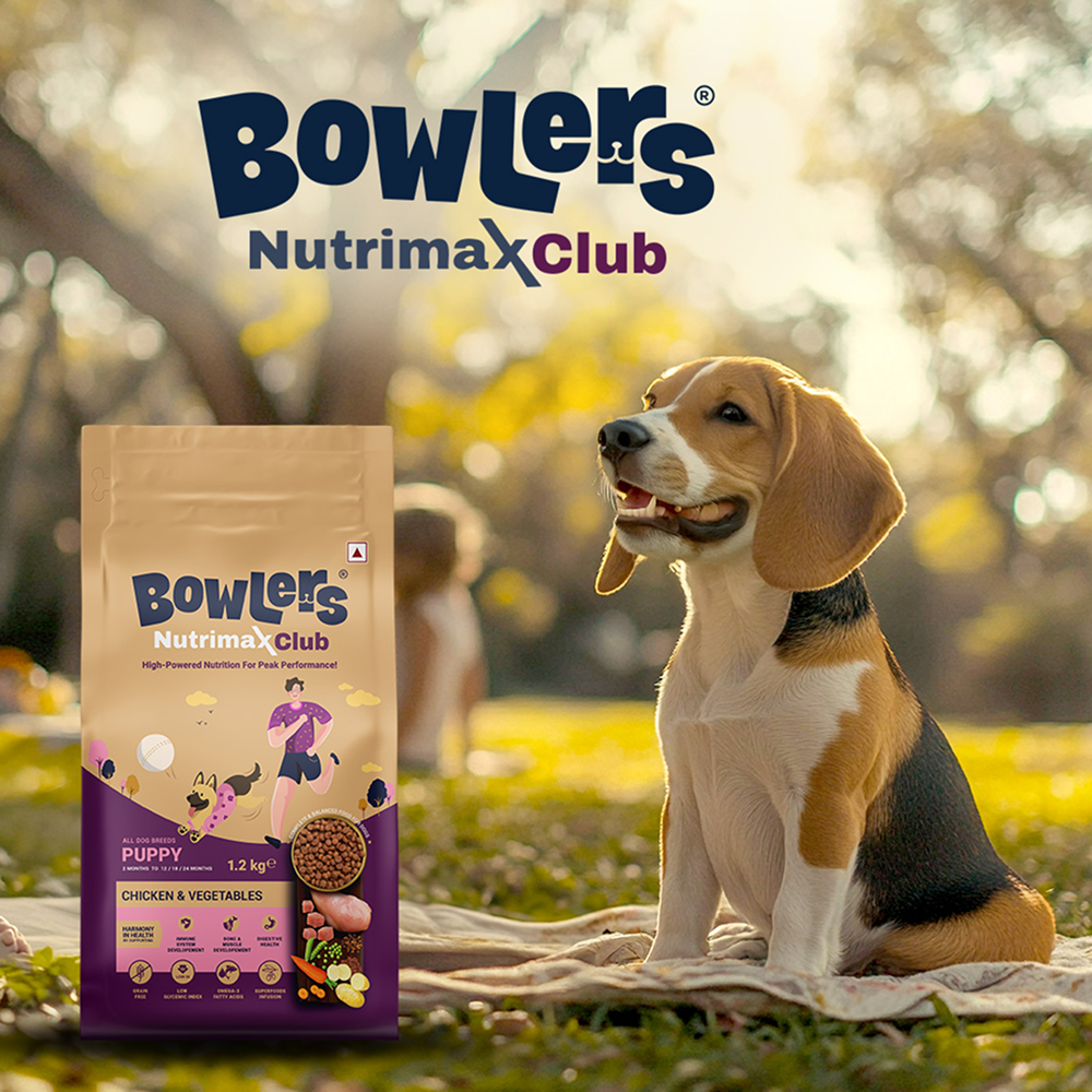 Bowlers Nutrimax Club Puppy Dog Dry Food image 2