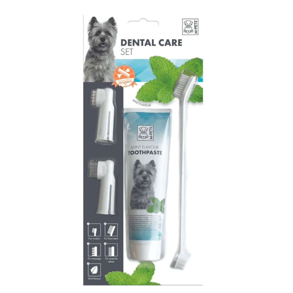 FG-M Pets Dental Care Set for Dogs