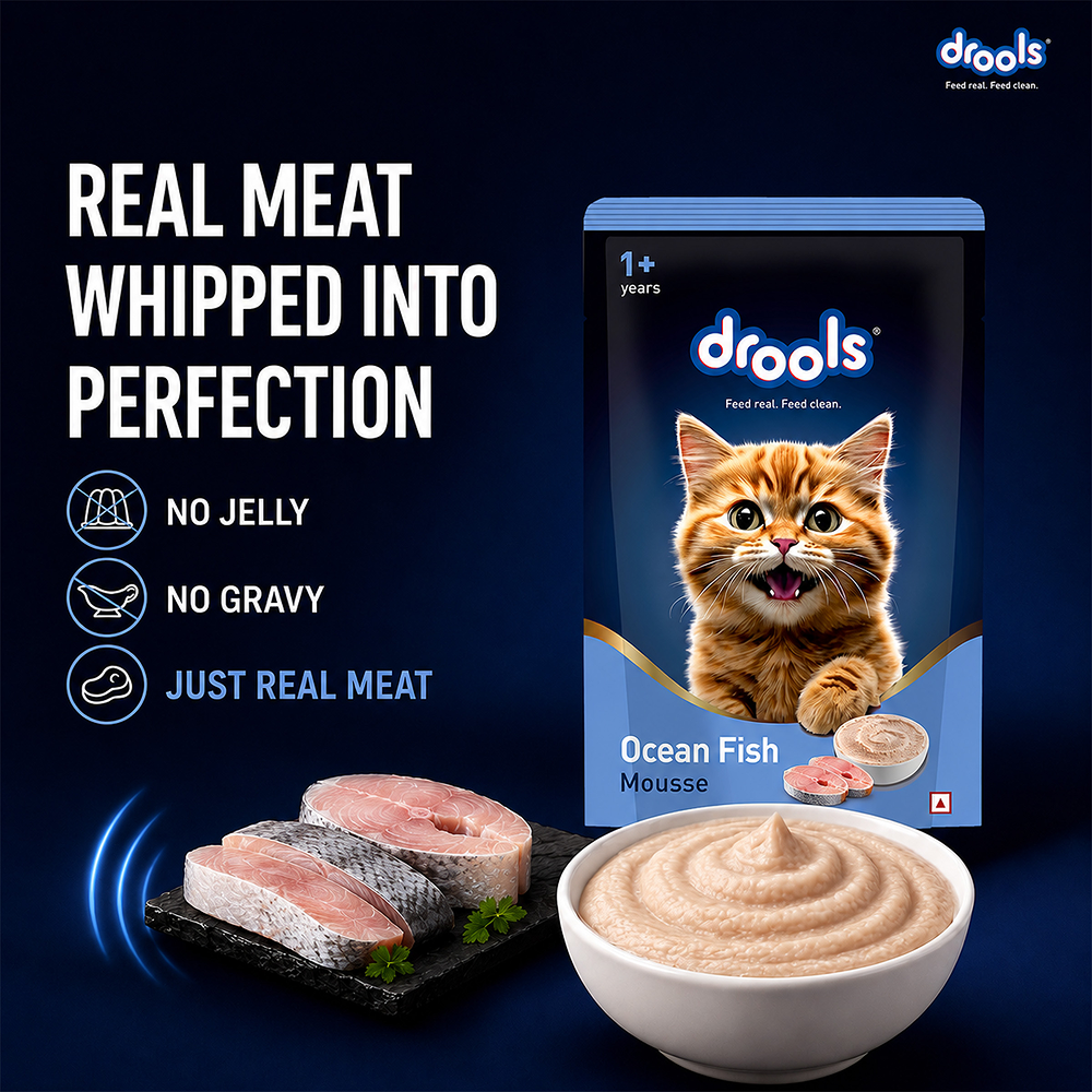 Drools Ocean Fish Mousse Adult Cat Wet Food image 6