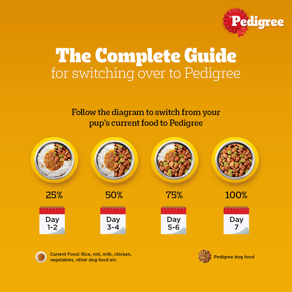 Pedigree Lamb & Milk Small Puppy Dry Food and Lamb Flavour Chunks in Gravy Puppy Wet Food Combo image 9