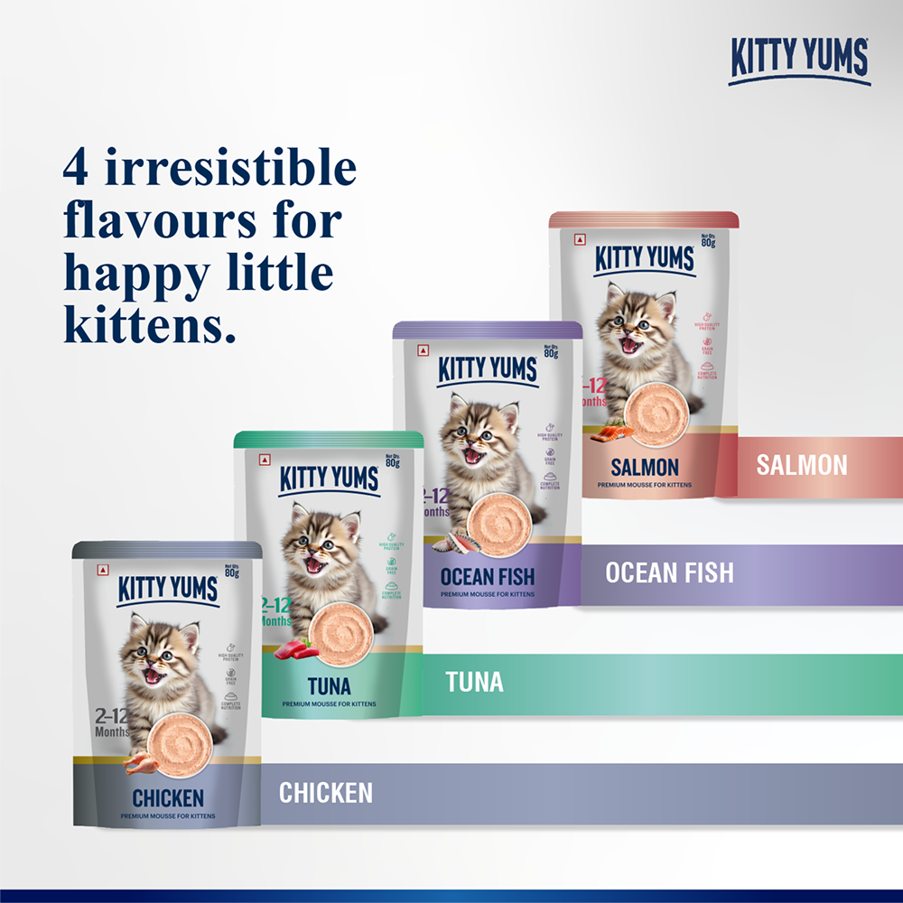 Kitty Yum Chicken Mousse Kitten Cat Wet Food image 6