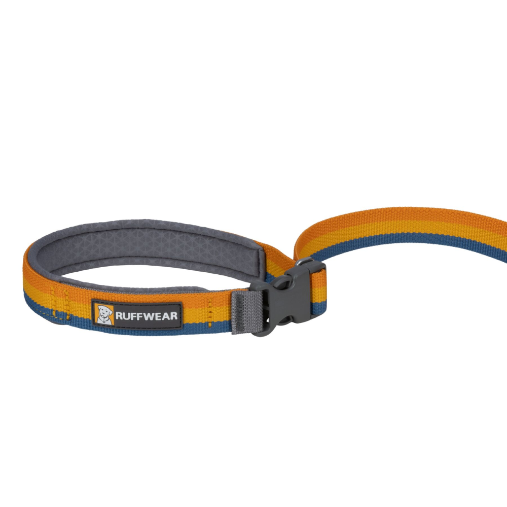 Ruffwear Roamer Bungee Leash for Dogs (Yellow Snow) image 2