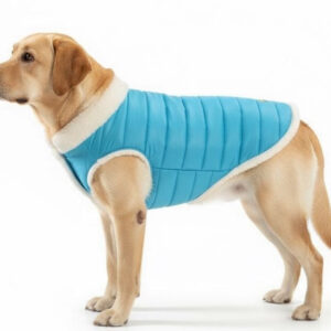 Woofiezz Warm & Comfortable Winter Jackets for Dogs and Cats (Turquoise)