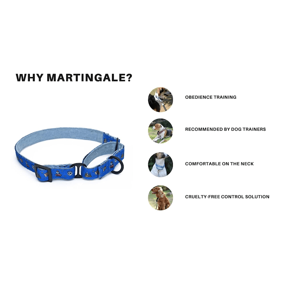 Harry Potter Welcome To Hogwarts Martingale Collar for Dogs image 4