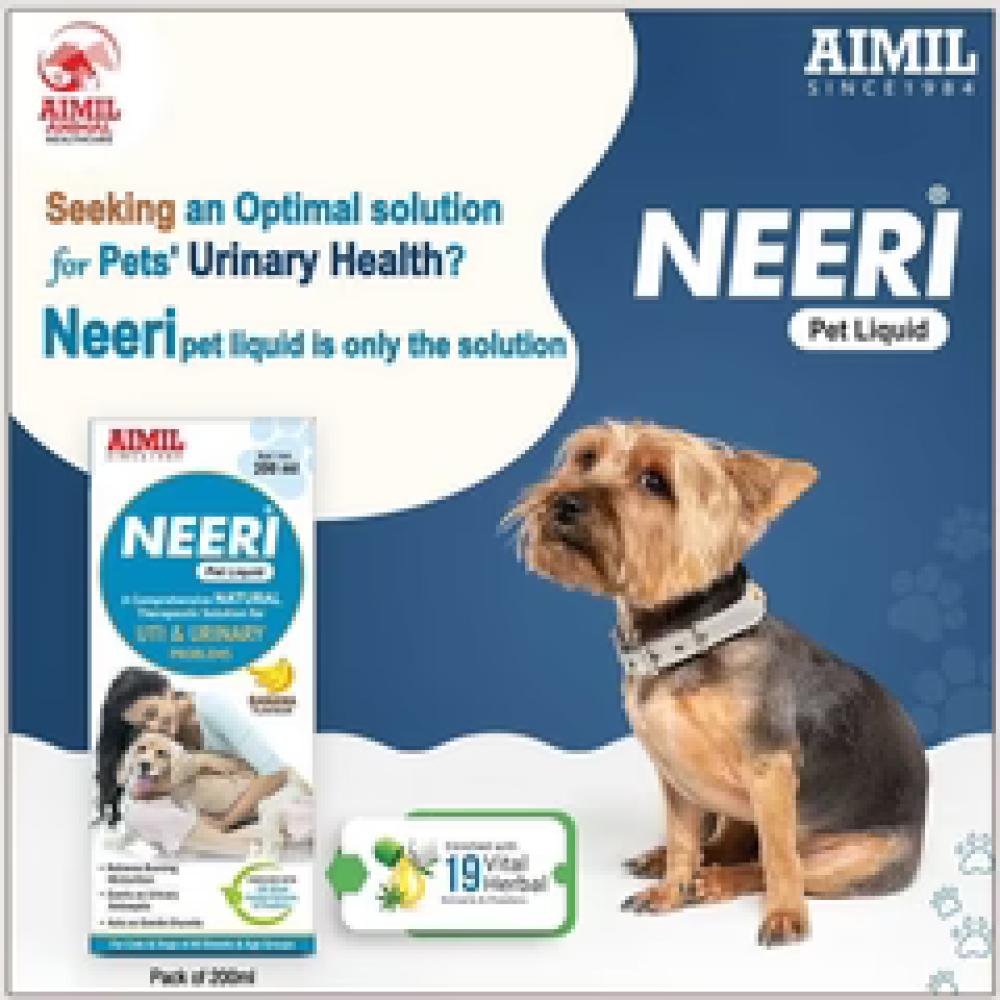 Aimil Neeri Liquid Supplement for Dogs and Cats image 2