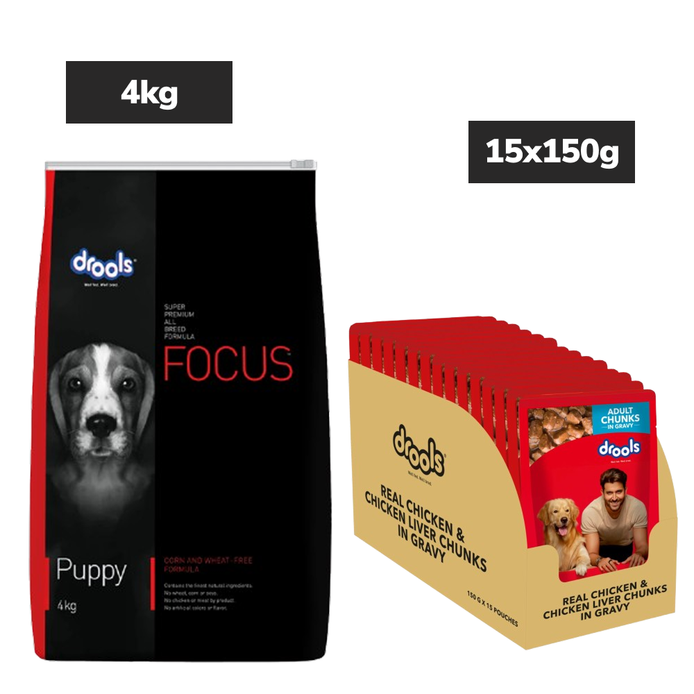Drools Focus Super Premium Dry Food and Chicken & Liver Chunks in Gravy Adult Dog Wet Food Combo image 3