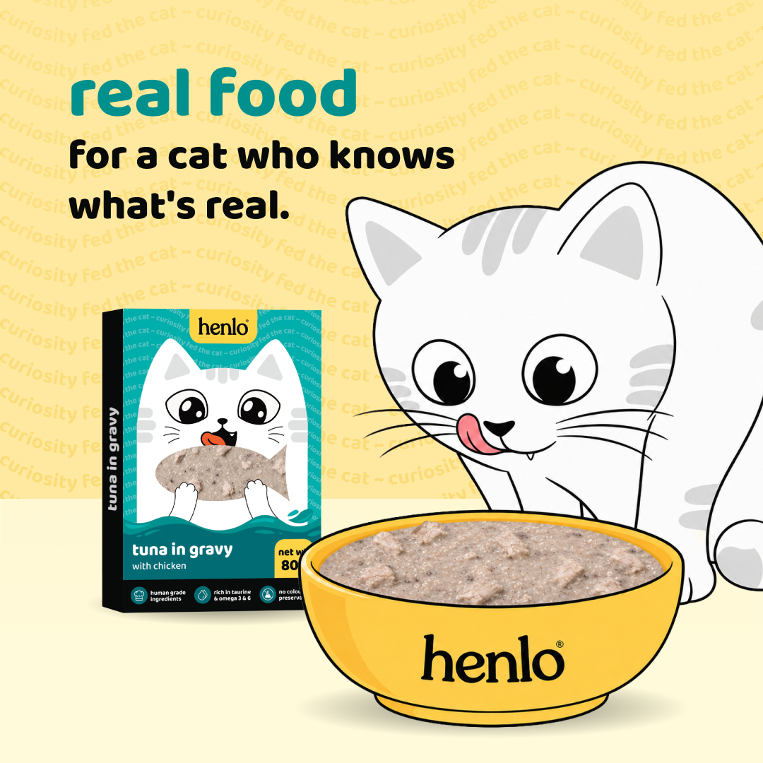 Henlo Tuna in Gravy with Chicken Adult Cat Wet Food | 100% Human Grade Ingredients image 9