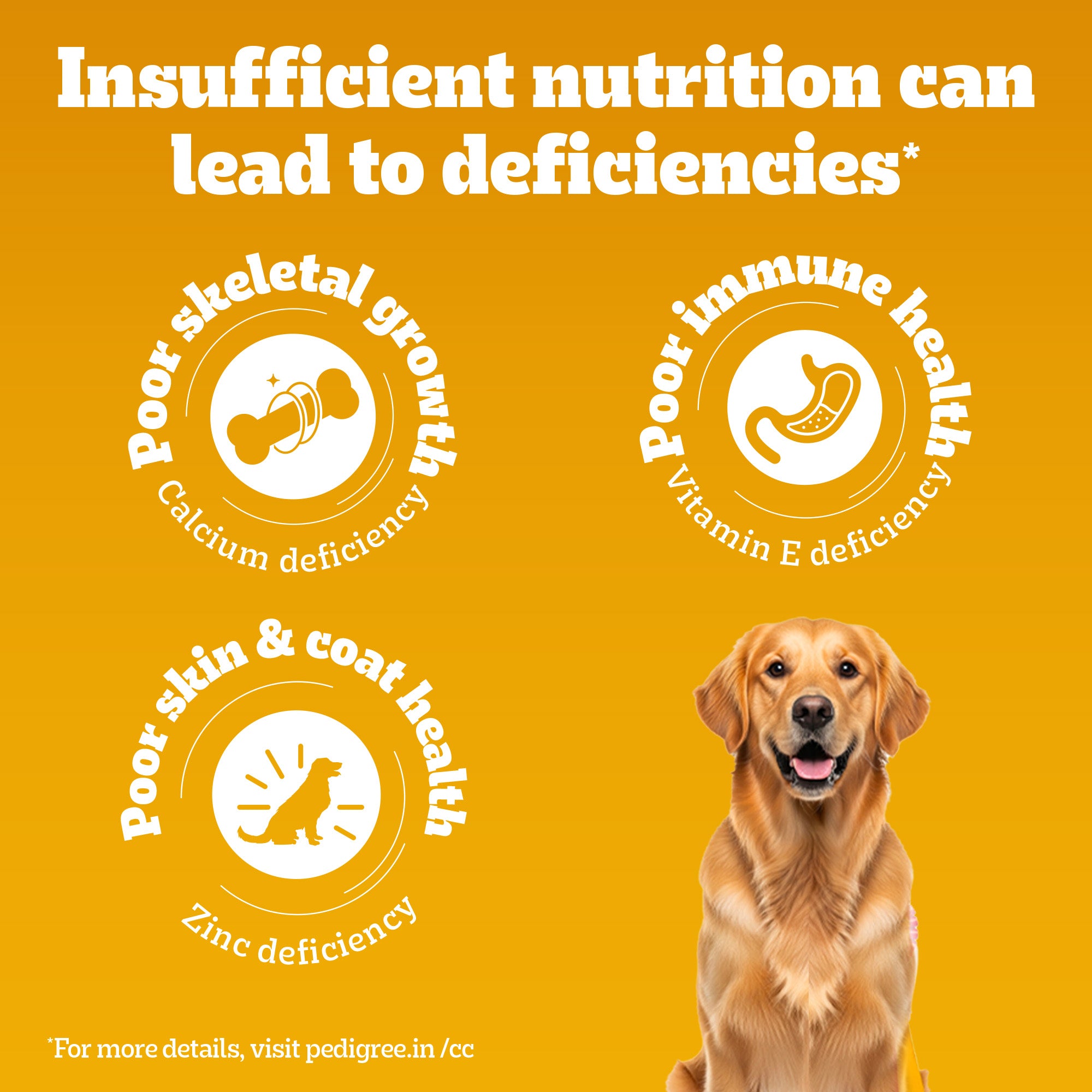 Pedigree Chicken, Egg and Rice Adult Dog Dry Food image 7