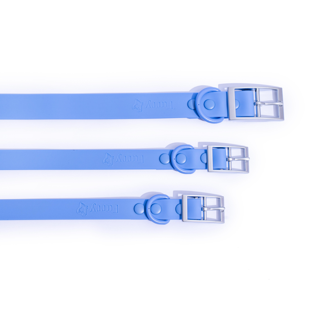 Furry & Co Weatherproof Collar and Leash for Dogs Combo (Everest Blue) - M image 5