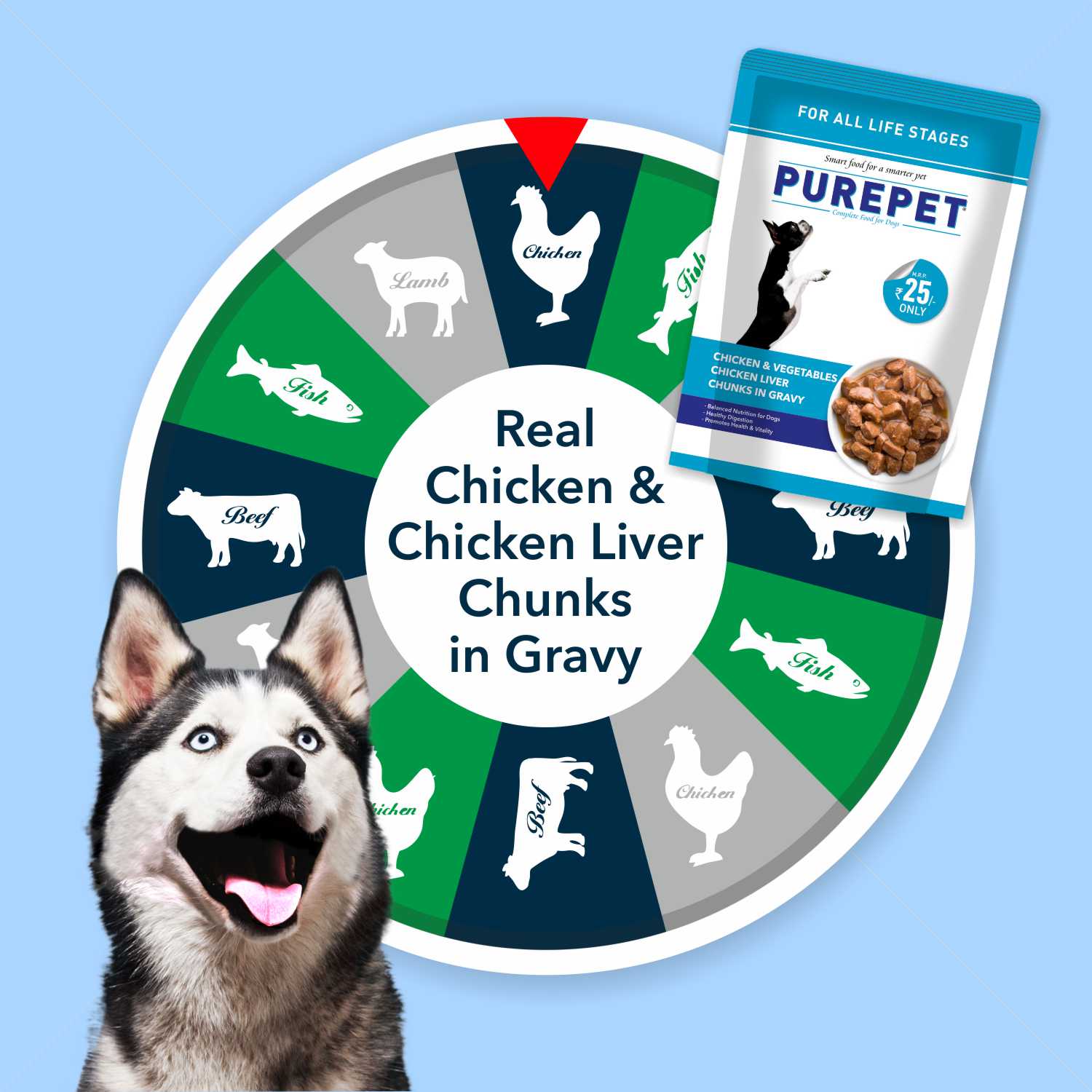 Purepet Chicken & Vegetable Adult Dog Dry and Wet Food Combo image 9