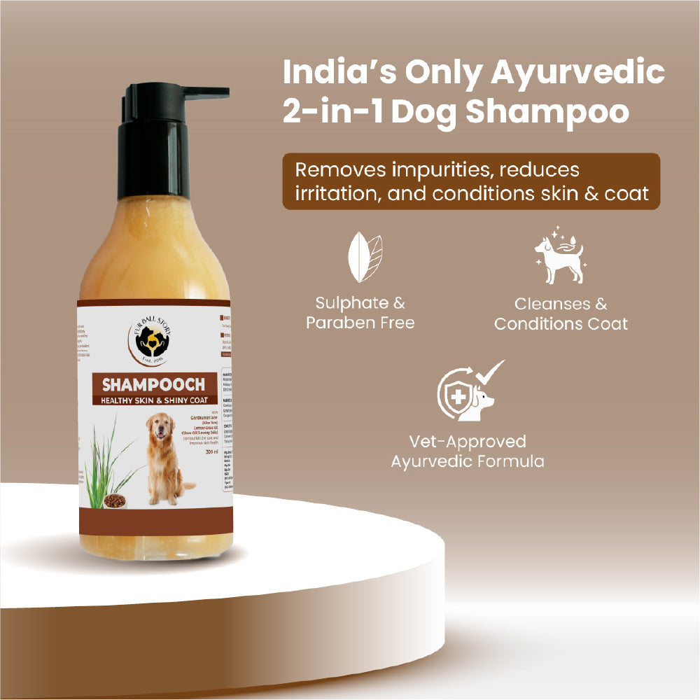 FurBall Story Shampooch Healthy Skin & Shiny Coat Shampoo for Dogs image 3