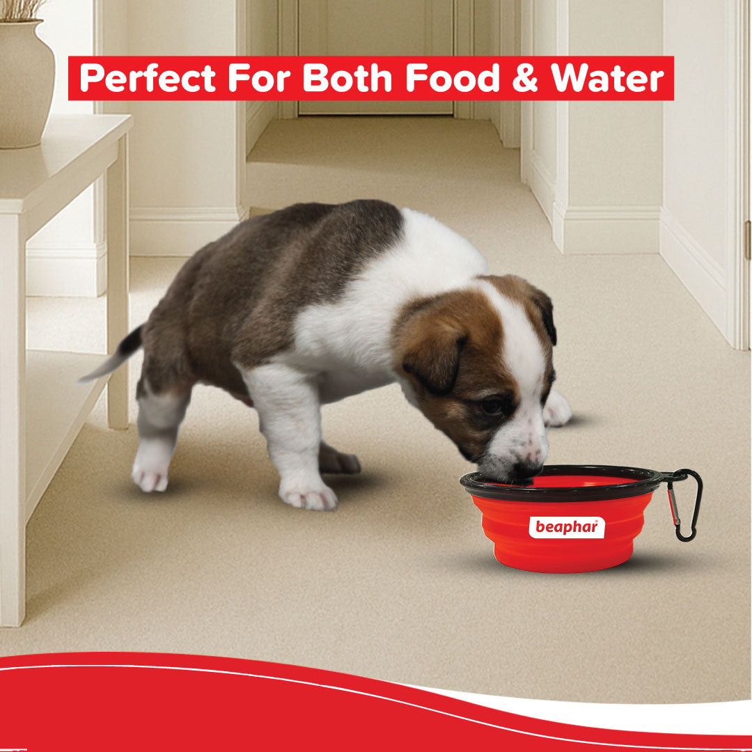 Beaphar Foldable Travel Silicon Bowl for Dogs and Cats (Red) image 4