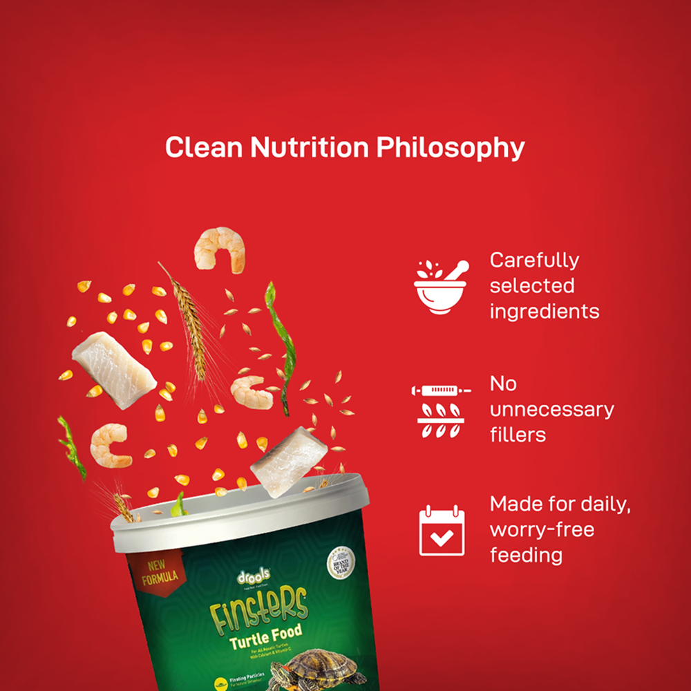 Drools Finsters Baby Turtle Food image 6