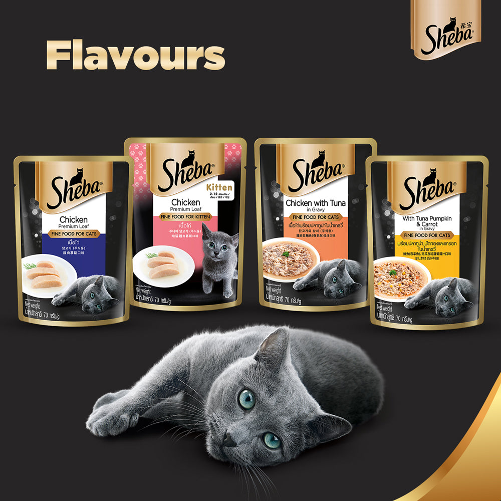 Sheba Chicken Loaf Rich Premium Kitten (2 to 12 Months) Fine Wet Food and Irresistible All Life Stage Cat Dry Food Combo image 10
