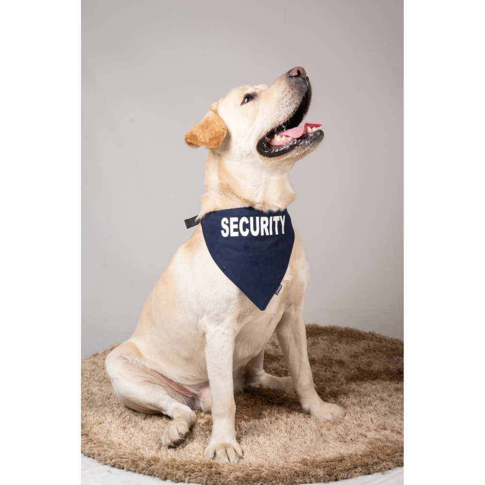 Petsnugs Security Bandana for Dogs and Cats (Navy Blue) image 3
