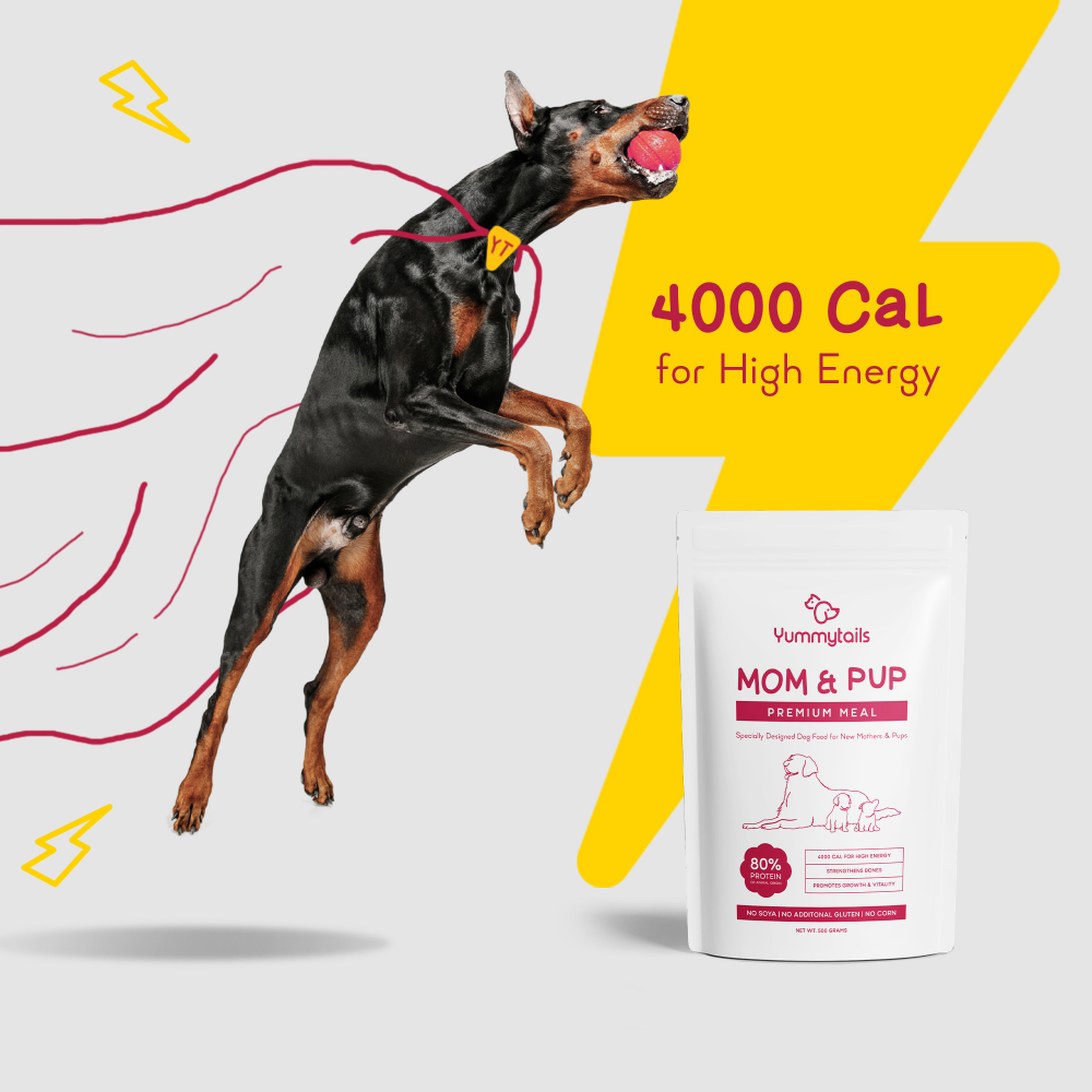 Yummytails Super Premium Mother and Puppy Dry Food | Chicken & Fish Flavor | Corn and Soya Free Formula image 9