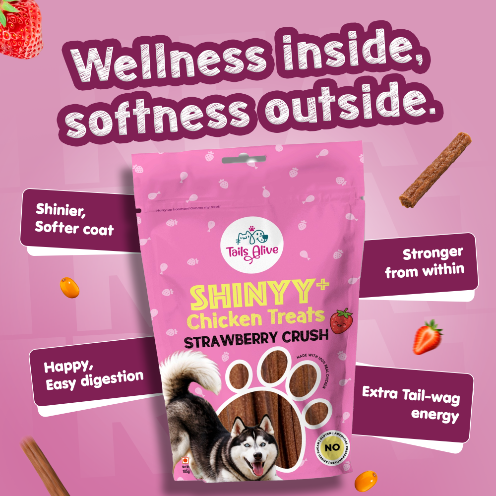 Tails Alive Shinyy+ Strawberry Crush Chicken Chew Sticks for Dogs image 7
