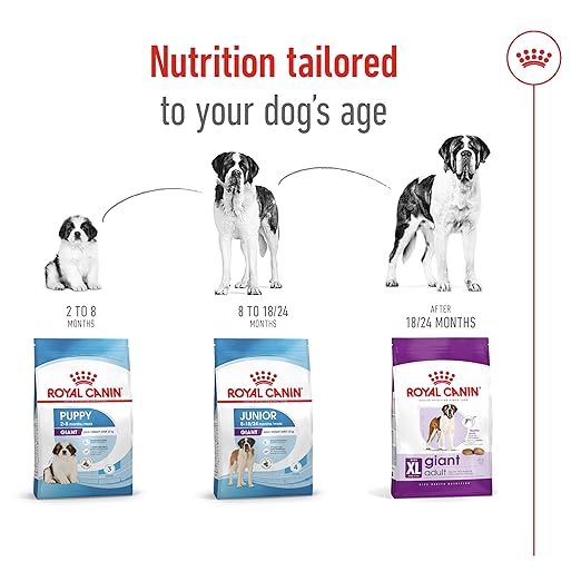 Royal Canin Giant Adult Dog Dry Food image 6