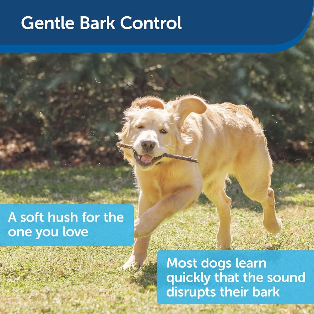 PetSafe Outdoor Bark Control Device for Dogs image 6