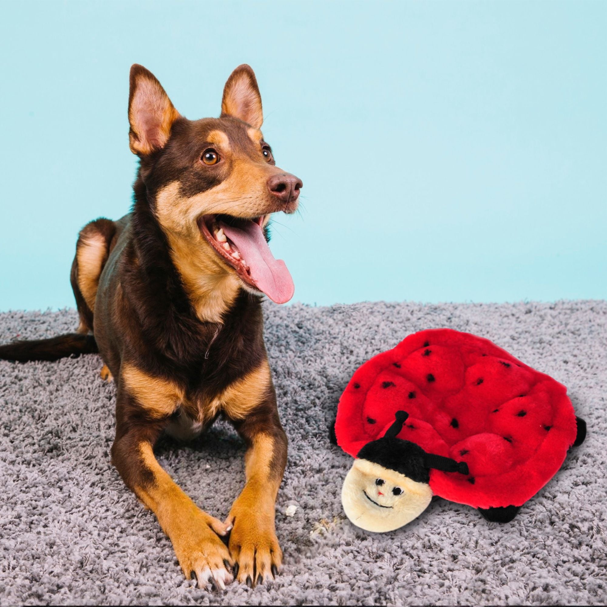 Zippy Paws Squeakie Crawler Betsey the Ladybug Plush Toy for Dogs image 6