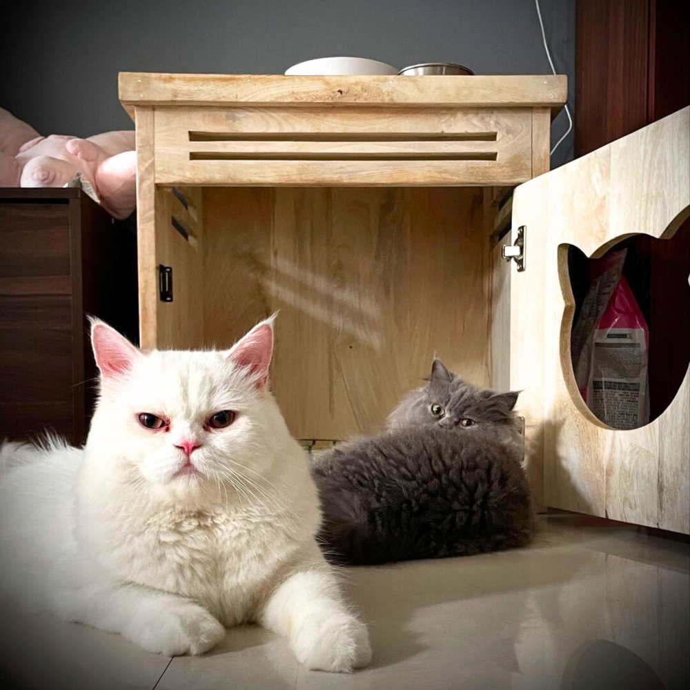 FurryLiving Meraki Cabinet with Cushion for Small Dogs and Cats (Oak/Brown Cushion) image 2