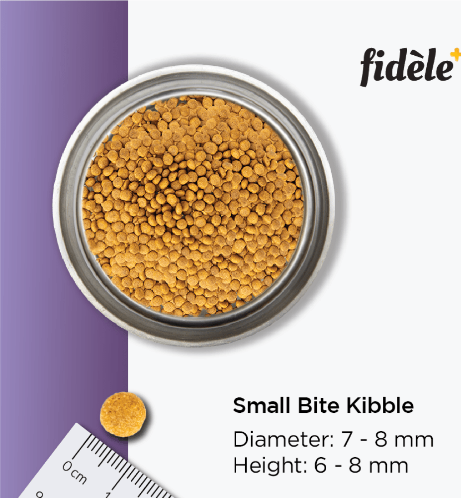 Fidele Plus Adult Small & Medium Dog Dry Food image 7
